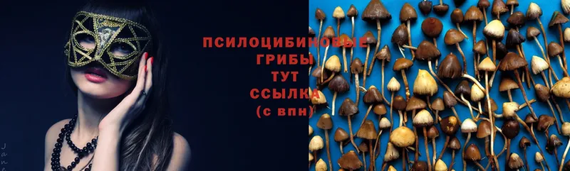 сколько стоит  Верхняя Салда  Галлюциногенные грибы MAGIC MUSHROOMS 